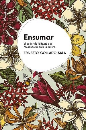 Ensumar | 9788413564968 | Ernesto Collado Sala