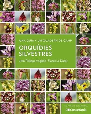 Orquídies silvestres | 9788413564920 | Jean-Philippe Anglade ;  Franck Le Driant