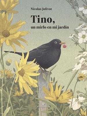 Tino, un mirlo en mi jardín | 9791387597160 | Nicolas Jolivot