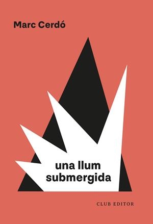 Una llum submergida | 9788473294751 | Marc Cerdó