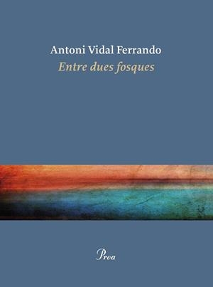 Entre dues fosques | 9788410488434 | Antoni Vidal Ferrando
