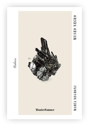 Museo negro | 9788412743142 | María Negroni