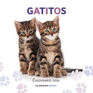 Calendario 2026 : Gatitos | 9788448044909