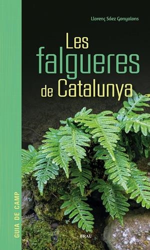 Les falgueres de Catalunya | 9791387701017 | Llorenç Sáez Gonyalons