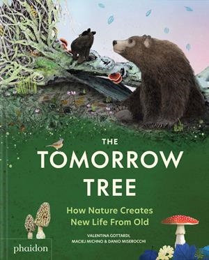The tomorrow tree | 9781837290284 | Valentina Gottardi ; Maciej Michno ; Danio Miserocchi
