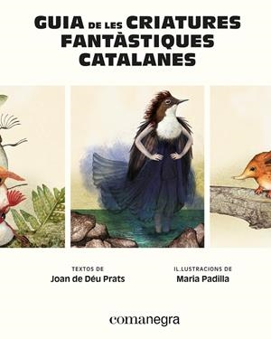 Guia de les criatures fantàstiques catalanes | 9788410161900 | Joan de Déu Prats ; Maria Padilla