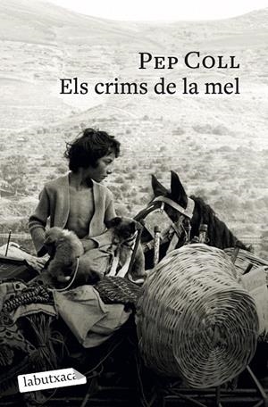 Els crims de la mel | 9791387802196 | Pep Coll