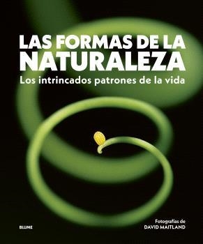 Las formas de la naturaleza | 9788410469822 | David Maitland