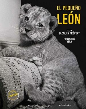 El pequeño león | 9788413433790 | Jacques Prévert ; Ylla