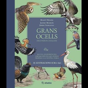 Grans ocells dels Països Catalans | 9791387658236 | Martí Boada ; Jaume Marlès ; Jordi Sargatal ; Icra Art
