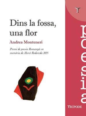 Dins la fossa, una flor | 9791399090338 | Andrea Monteneri