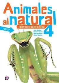 Animales al natural 4 : Insectos bajo la lupa | 9786071616593 | Syuji Okajima