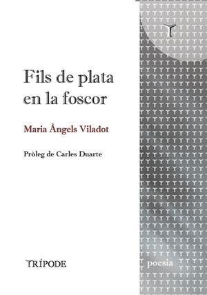 Fils de plata en la foscor | 9791399090352 | Maria Àngels Viladot
