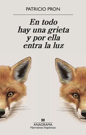 En todo hay una grieta y por ella entra la luz | 9788433949158 | Patricio Pron