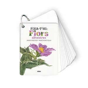 Fixa-t'hi: flors silvestres | 9788410407589 | Anna Sanjuan Llorens ; Ramon Baucells Colomer