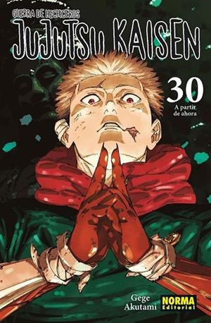 Jujutsu Kaisen 30 (Castellà) | 9788467975833 | Gege Akutami
