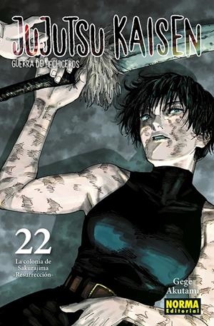 Jujutsu Kaisen 22 (Castellà) | 9788467962000 | Gege Akutami