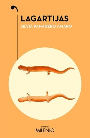 Lagartijas | 9788419884985 | Silvia Panadero Amaro