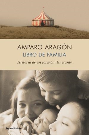 Libro de familia | 9788410274808 | Amparo Aragón