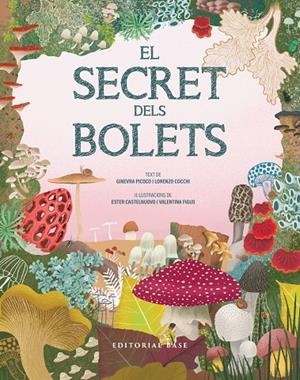 El secret dels bolets | 9791387728502 | Ginevra Picoco ; Lorenzo Cocchi ; Ester Castelnuovo ; Valentina Figus