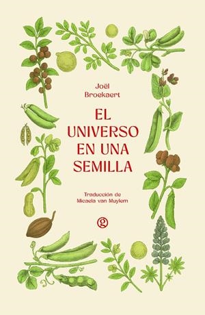 El universo en una semilla | 9788419990839 | Joël Broekaert