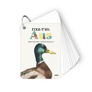 Fixa-t'hi : Aus | 9788410407640 | Anna Sanjuan Llorens ; Ramon Baucells
