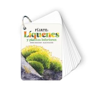 Fíjate : Líquenes y plantas inferiores | 9788410407619 | Anna Sanjuan ; Àlex Nogués