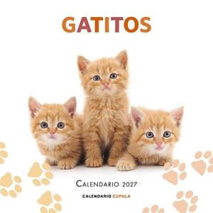 Calendario 2027 Gatitos | 9788448049300