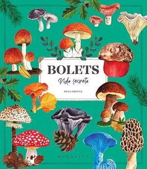 Bolets : vida secreta | 9788410417687 | Rena Ortega