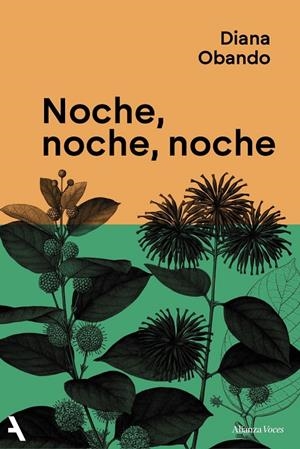 Noche, noche, noche | 9791370093235 | Diana Obando