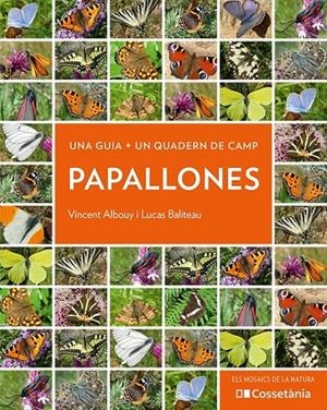 Papallones | 9788413560540 | Vincent Albouy ; Lucas Baliteau