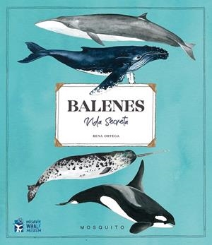 Balenes : vida secreta | 9788412247954 | Rena Ortega