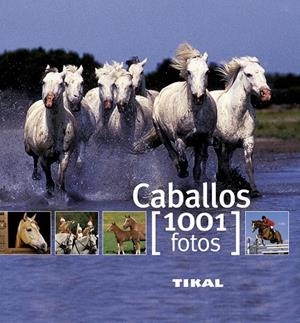 Caballos : 1001 fotos | 9788499280875 | Murielle Rudel ; Michel Viard