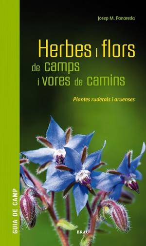 Herbes i flors de camps i vores de camins | 9788418096082 | Josep M. Panareda ; Maravillas Boccio