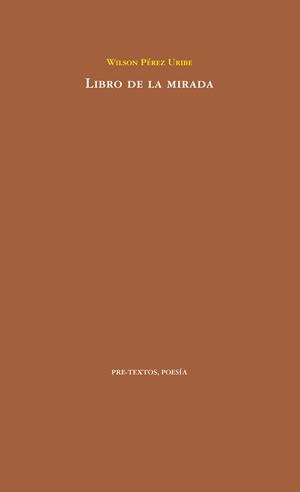 Libro de la mirada | 9788418178108 | Wilson Pérez Uribe