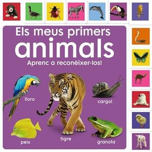 Els meus primers animals : aprenc a reconèixer-los | 9788413492476 | Dawn Sirett