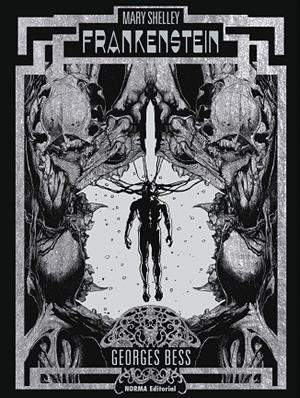 Frankenstein (castellà) | 9788467961782 | Mary Shelley ; Georges Bess
