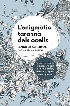L'enigmàtic tarannà dels ocells | 9788413560472 | Jennifer Ackerman