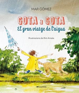Gota a gota : el gran viatge de l'aigua | 9788413563749 | Mar Gómez ; Kim Amate
