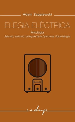 Elegia Elèctrica (bilingüe rus - català) | 9788412843347 | Adam Zagajekski