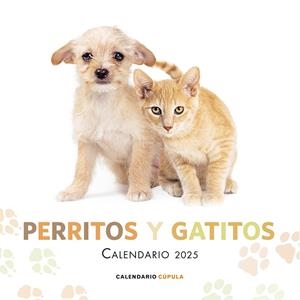 Calendario 2025 Perritos y gatitos | 9788448041632