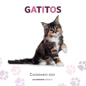 Calendario 2025 Gatitos | 9788448041656