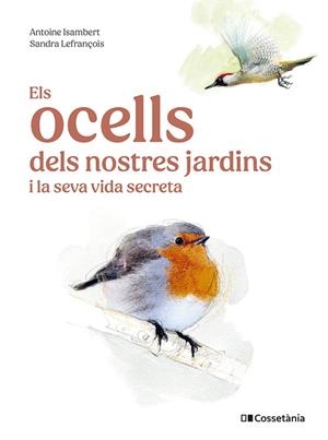 Els ocells dels nostres jardins i la seva vida secreta | 9788413563626 | Antoine Isambert ; Sandra Lefrançois