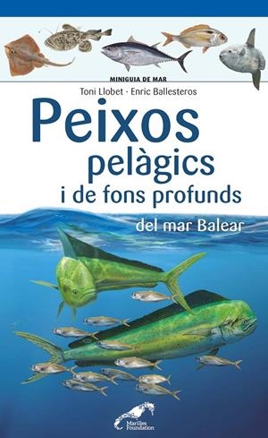 Peixos pelàgics i de fons profunds del mar Balear | 9788490349397 | Toni Llobet ; Enric Ballesteros